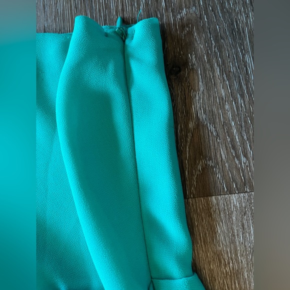 Naked Zebra tank, size large - Picture 2 of 4